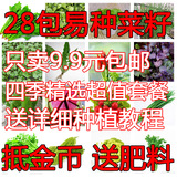 28种易种植阳台庭院蔬菜种子草莓番茄黄秋葵种子四季可播套餐包邮