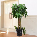 假树发财树仿真植物大型落地盆栽景塑料装饰假花仿真客厅室内绿植