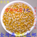 农家自种小玉米爆米花玉米粒 爆裂批发爆米花专用小玉米粒 250克