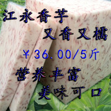 新鲜芋头江永香芋槟榔芋毛芋头生鲜有机蔬菜 胜荔浦芋头10斤包邮