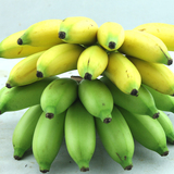 顺丰！海南三亚新鲜水果 皇帝蕉 小米焦 小芭蕉 香蕉3斤装