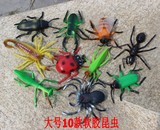 包邮大号软胶仿真昆虫玩具模型蚂蚁蝎子蜘蛛螳螂甲虫儿童认知套装