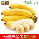 香蕉banana广西玉林青香蕉新鲜水果芭蕉有机无公害包邮农家直供
