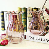 波洛克鲜花专用花瓶欧式风格玻璃花瓶透明富贵竹百合水培台面花器