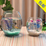 炮弹款 圆形金鱼缸 生态创意 玻璃鱼缸 金鱼缸 水培缸花瓶 特价