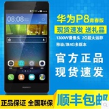Huawei/华为 P8青春版 八核移动/联通电信双4G手机 全新原封正品