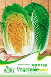 黄金大白菜种子 黄芽菜种子  烹饪方法多样 可制韩国泡菜