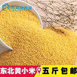 农家杂粮东北特产黄小米 月子米 有机小米 粥米 新米粗粮包邮