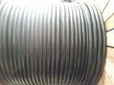 珠影 江南电缆线 YJV3*16+2*10 国标 工业电缆 铜芯硬线 国标