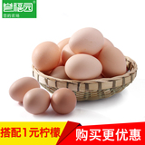 【誉福园】橘园土鸡蛋40枚 新鲜鸡蛋农家柴鸡蛋 只发2天内的