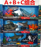 新品喜帝仿真海洋/动物/恐龙模型玩具 关节可活动 海豚 鲨鱼 玩具