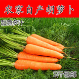 潍坊特产农家自产新鲜胡萝卜绿色无公害蔬菜宝宝辅食