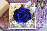 圣诞节进口巨型蓝玫瑰蓝色妖姬永生花保鲜花礼盒装天津送创意礼物