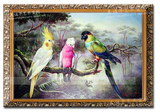 手绘油画欧式客厅有框装饰画高档书房壁画挂画艺术画墙画森林鹦鹉