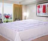 超软全立体式 超柔 加厚 羽绒 床垫 床褥 酒店