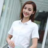 夏季绣花高棉短袖衬衫女 韩版学生职业百搭打底衫文艺白色衬衣