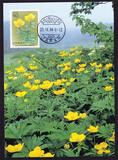 [皇冠实体店] 日本极限片 C996 1984年高山植物（花卉）：信州金