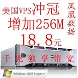 美国 VPS VM 香港 VPS VM 服务器 虚拟主机 独立IP 免备案 256M