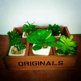 迷你仿真多肉 绿色植物假花 桌面小盆景盆栽 家居装饰品摆件木盒