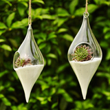 创意橄榄形透明玻璃花瓶田园风悬挂水培 车载客厅餐厅吊饰壁饰
