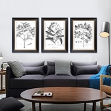 美式现代装饰画客厅沙发背景墙挂画简约复古欧式书房达尔文植物图