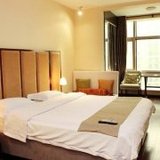 北京丹丹青苹果短租公寓（建国门店） VIP豪华双人床