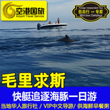 毛里求斯自由行旅游快艇看海豚一日游烤龙虾坐玻璃船浮潜中文导游