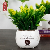 韩式迷你假花盆栽仿真绿植套装塑料花家居装饰品客厅花艺摆件桌花