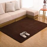 特价加厚可水洗珊瑚绒地毯简约现代客厅卧室床边满铺地毯榻榻米垫