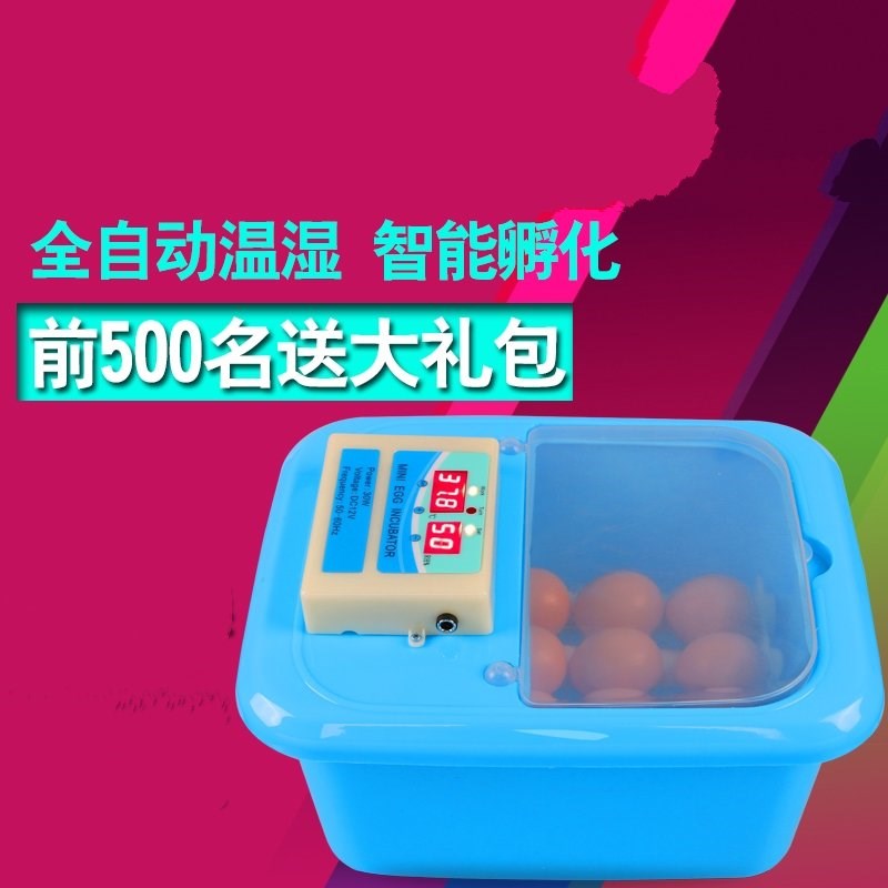 The water bed machine can hatch 98 thermostat chicken duck goose parrot pigeon eggs five black chicken fertilized eggs