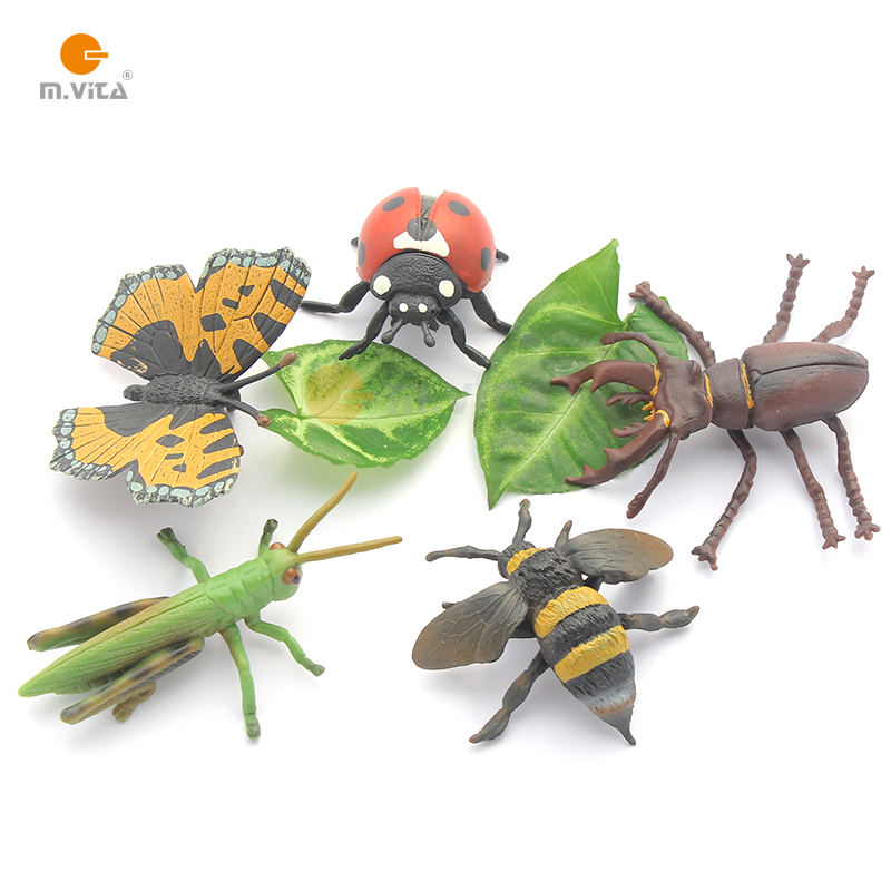 Montessori Montessori teaching aids language teaching aids simulate wild-insect models of animal replicas