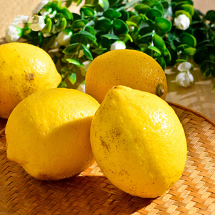 安岳黄柠檬三级果榨汁丑果新鲜优质多汁水果5斤无添加