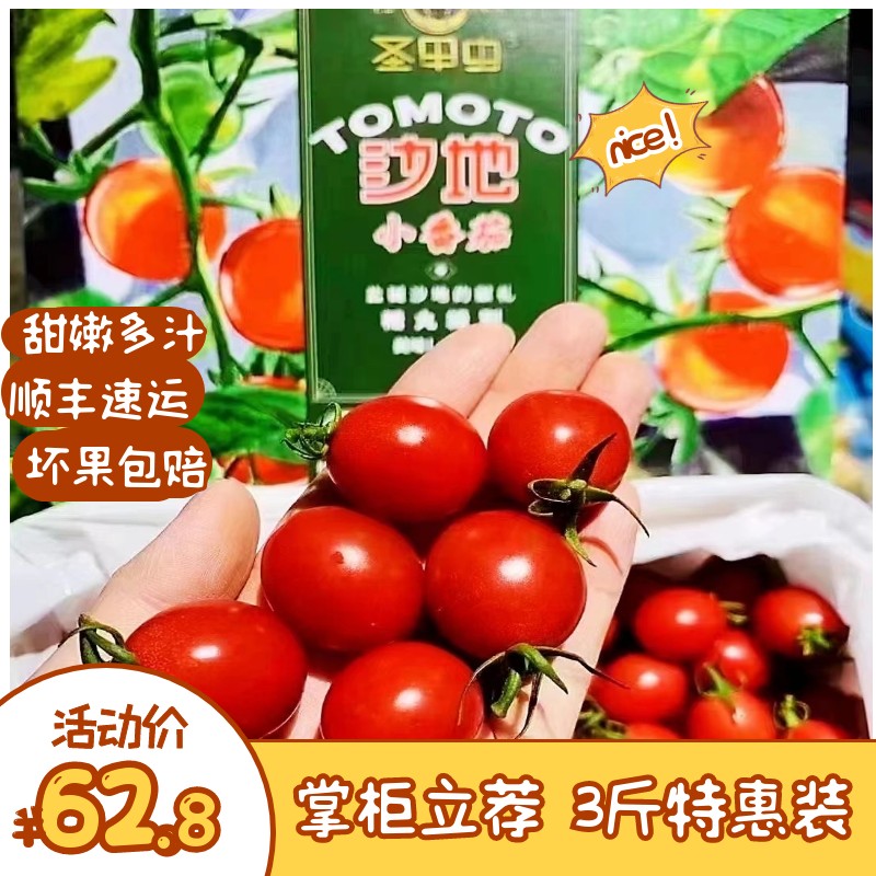 St. Beetle Sands Millennium Tomato Millennium Sage Sour Sweet Meat Tender Pop Fresh Vegetables and Fruits Are Smooth and Rich