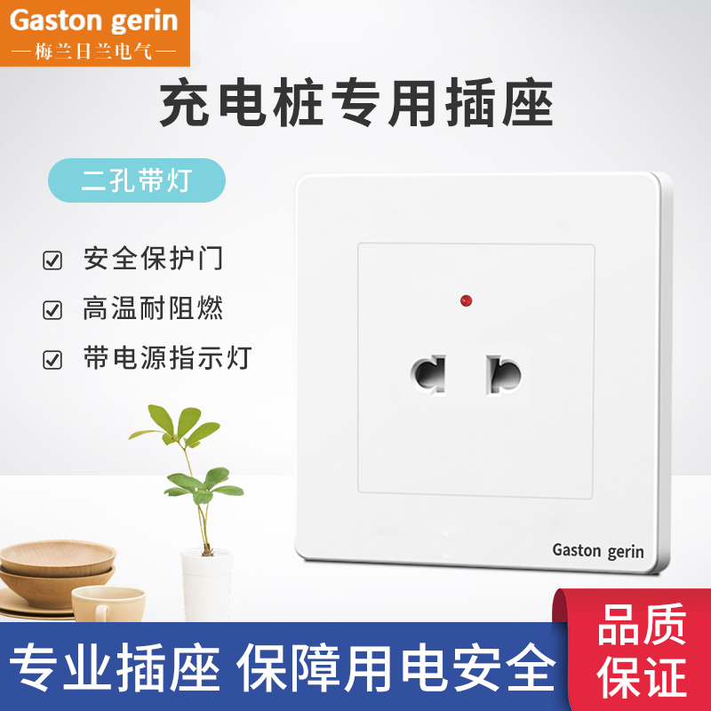 Charging pile special socket area electric vehicle charging station 2 two-hole with LED power 86 type dark socket