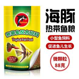 tropical fish and feed