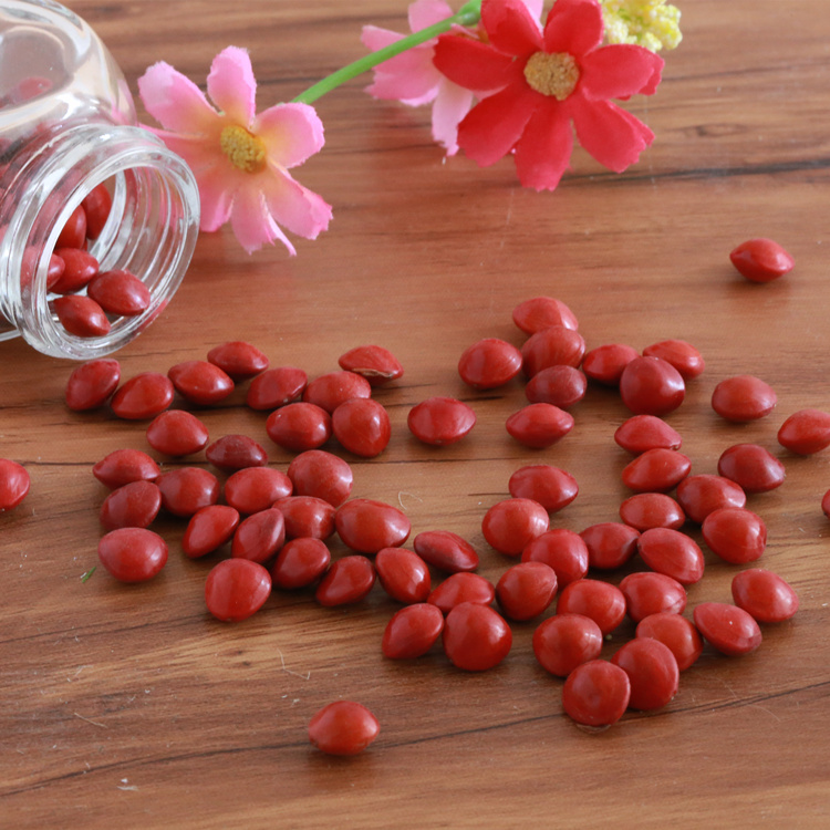 Natural red beans love bean love letter bracelet jewelry creative literary gifts to send girlfriend honey