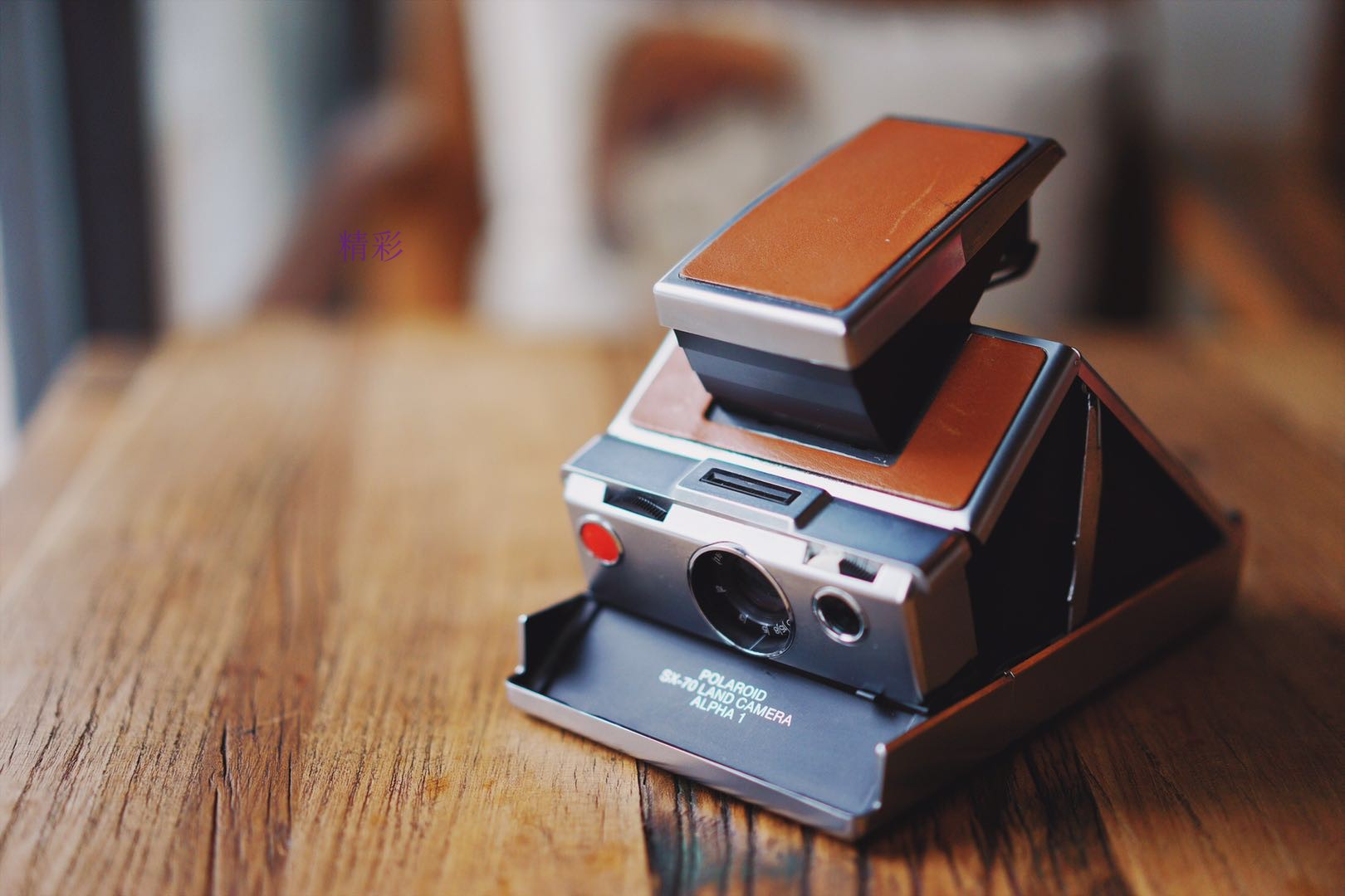 Polaroid Polaroid Polaroid love letter sx-70 Alpha1 once imaging shot the camera classic