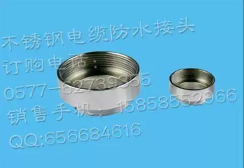 Đầu nối bằng thép không gỉ bằng kim loại Ge Lan đầu mô hình NPT2 G2