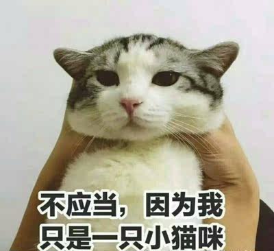 遐大胸显小全罩杯超薄文胸 性感蕾丝透明胸罩无海绵薄款内衣女