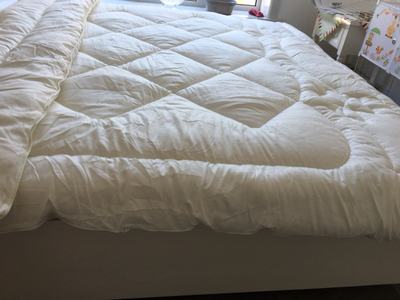 水星家纺 被子 冬被加厚保暖春秋被芯空调被单人学生双人太空被